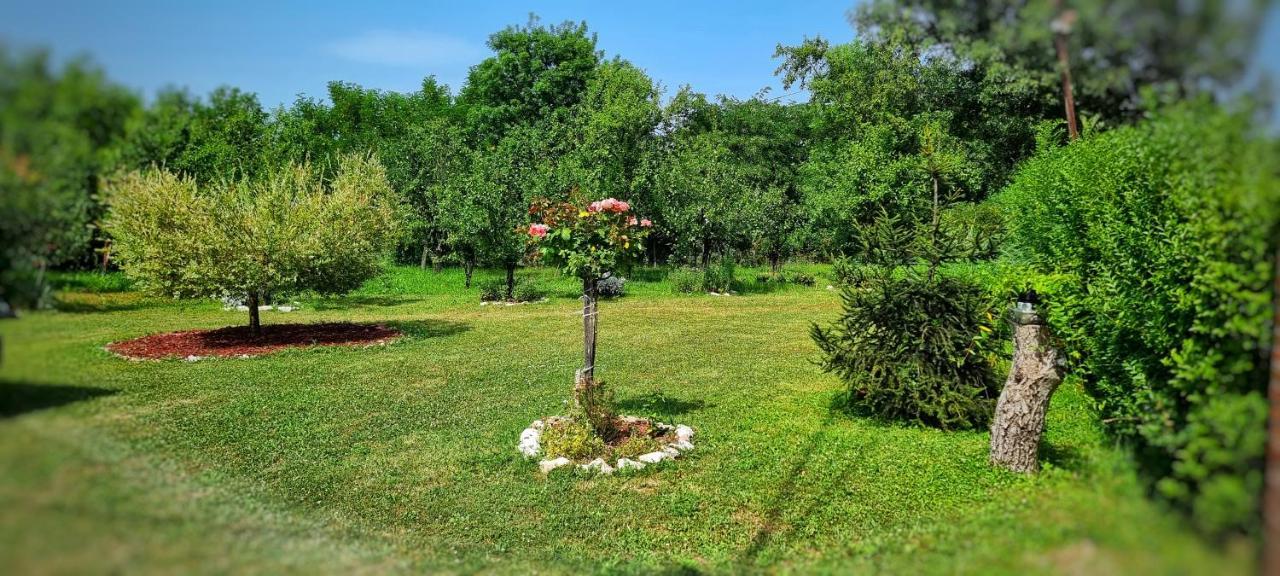 Gajica Konak-Orasac Arandjelovac Exterior foto